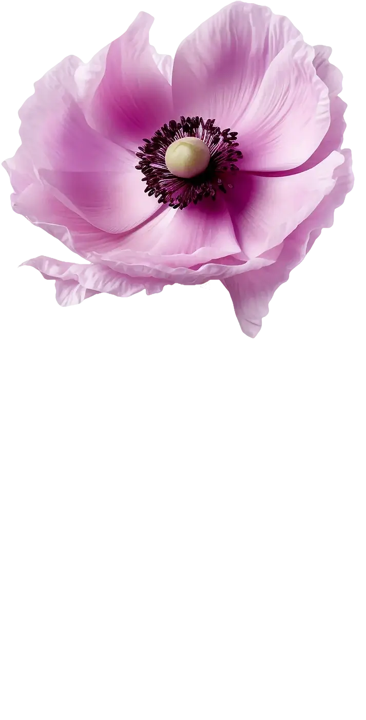 Blayden Decorative Image